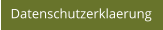 Datenschutzerklaerung