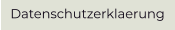 Datenschutzerklaerung