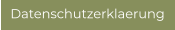Datenschutzerklaerung